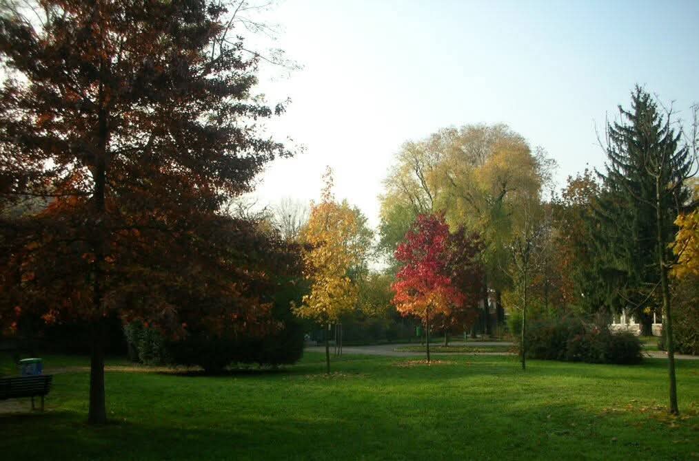 PianteParco