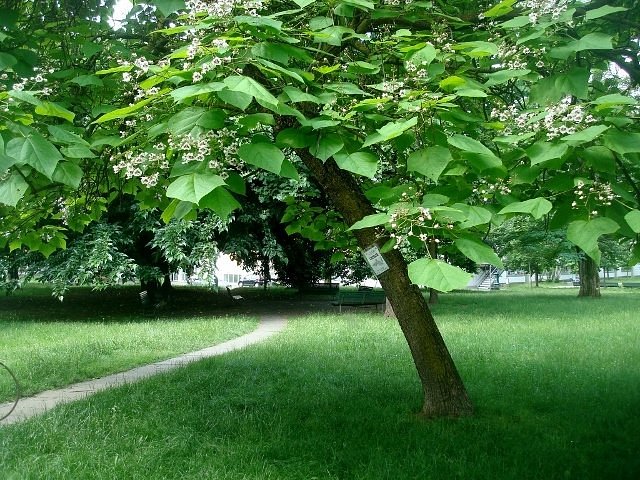 il-parco-1