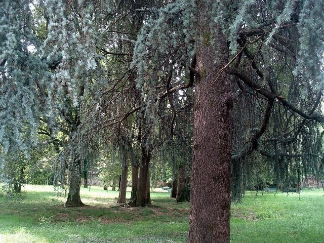 il-parco