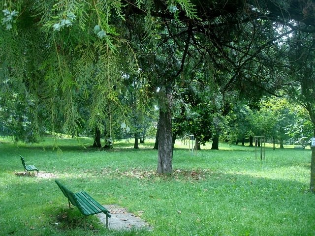 un-angolo-del-parco-1