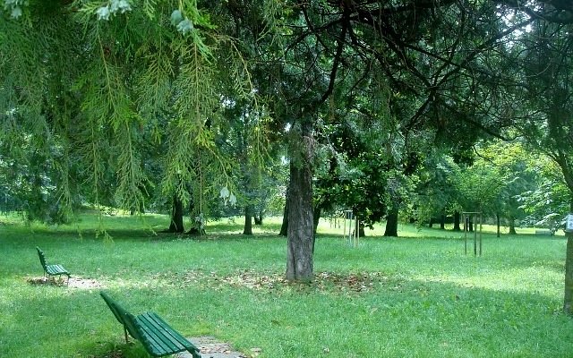 un-angolo-del-parco
